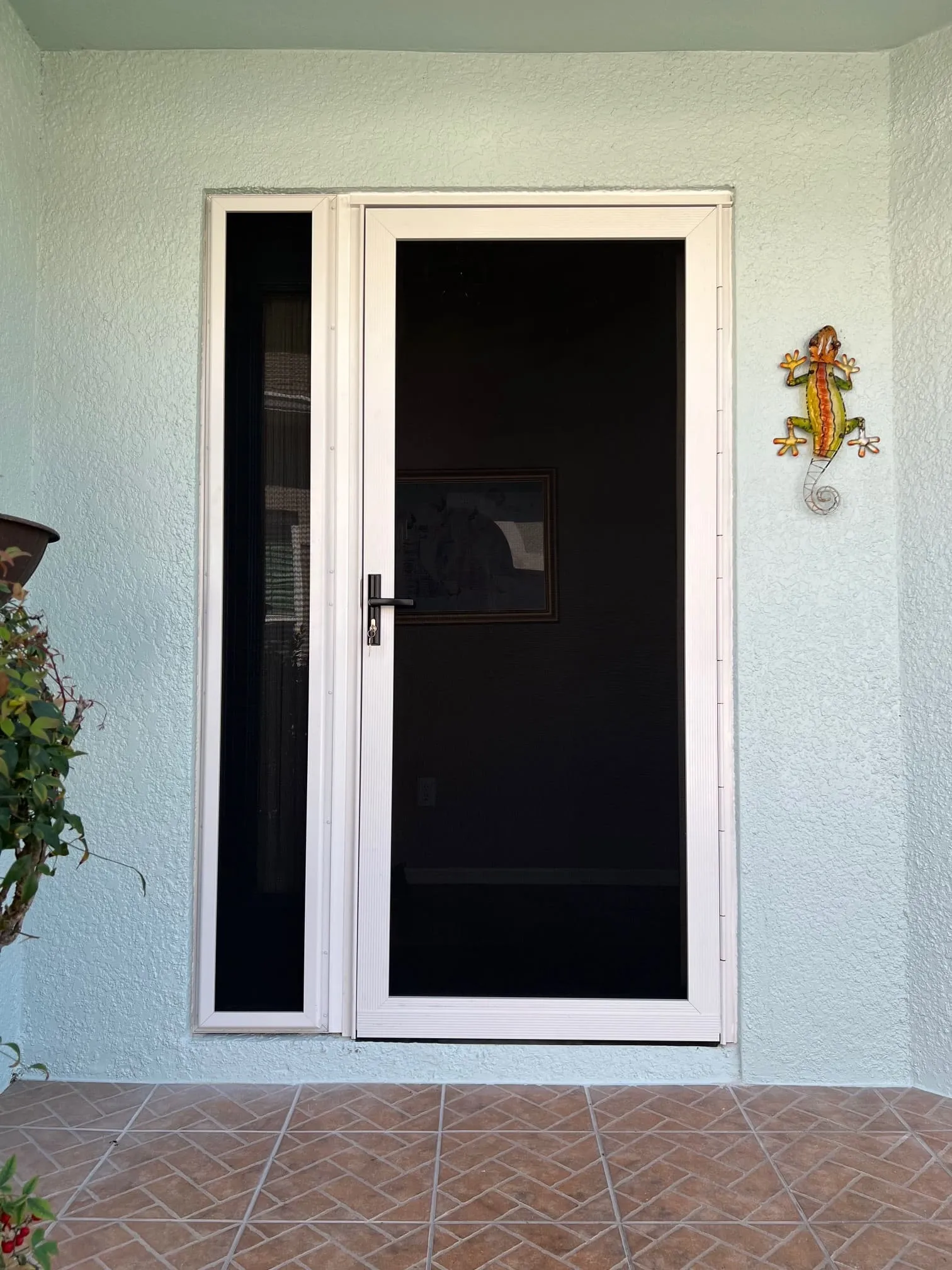 Fixed hurricane screens