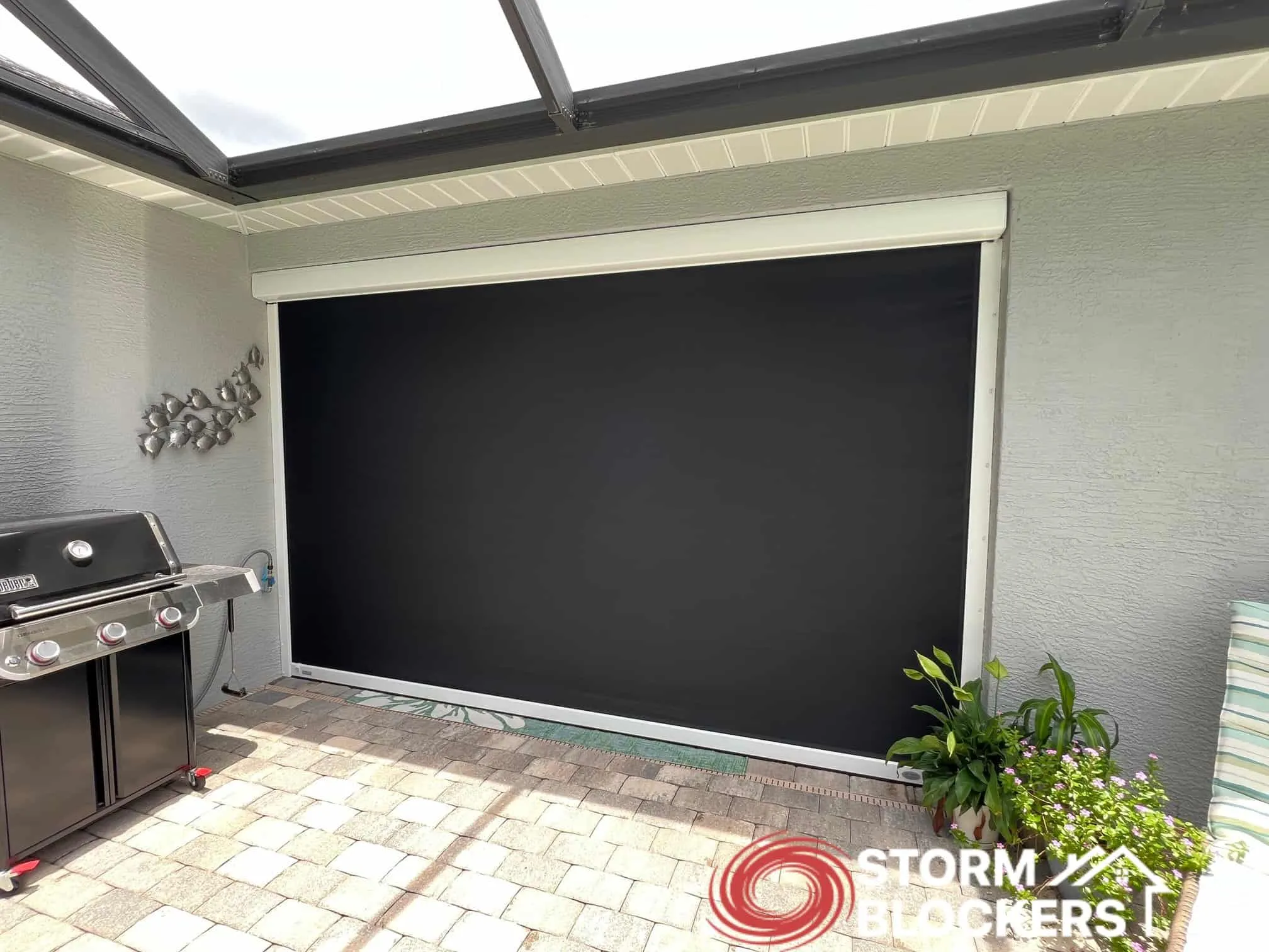 Motorized hurricane, solar, insect screens