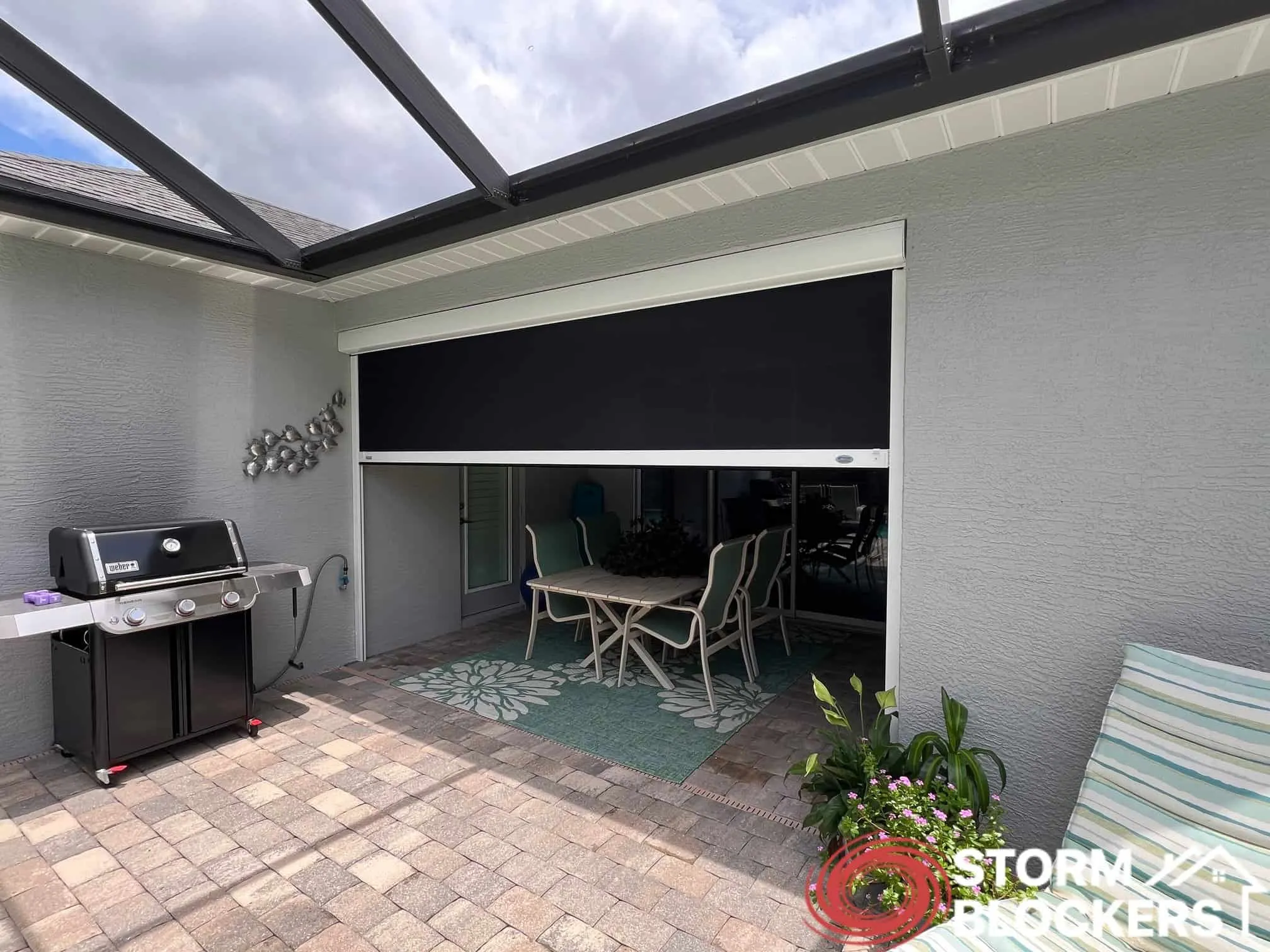 Motorized hurricane, solar, insect screens