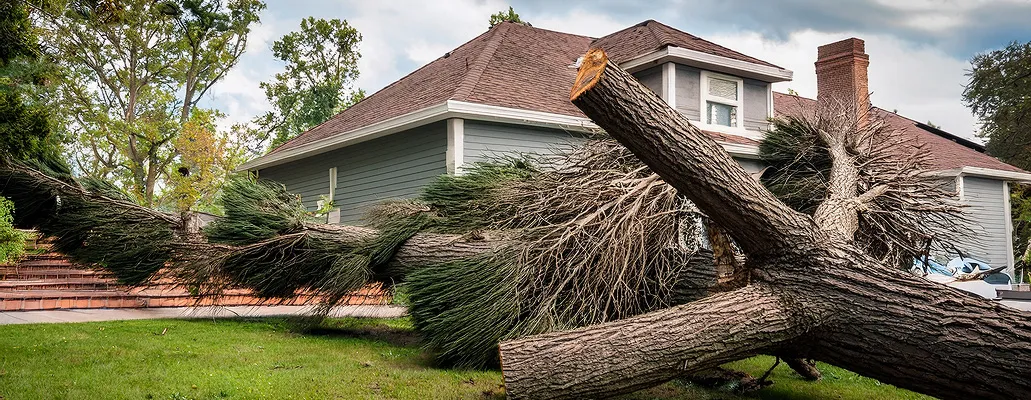 Beyond Hurricanes: Year-Round Benefits of Storm Blockers’ Shutters and Screens