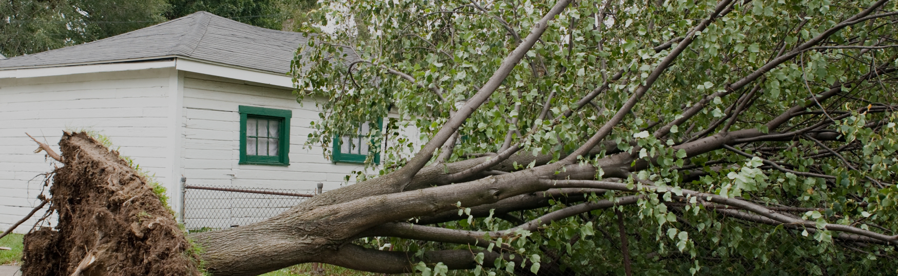 White accordion hurricane shutters for windows on Florida home, exterior storm shutters fully deployed
